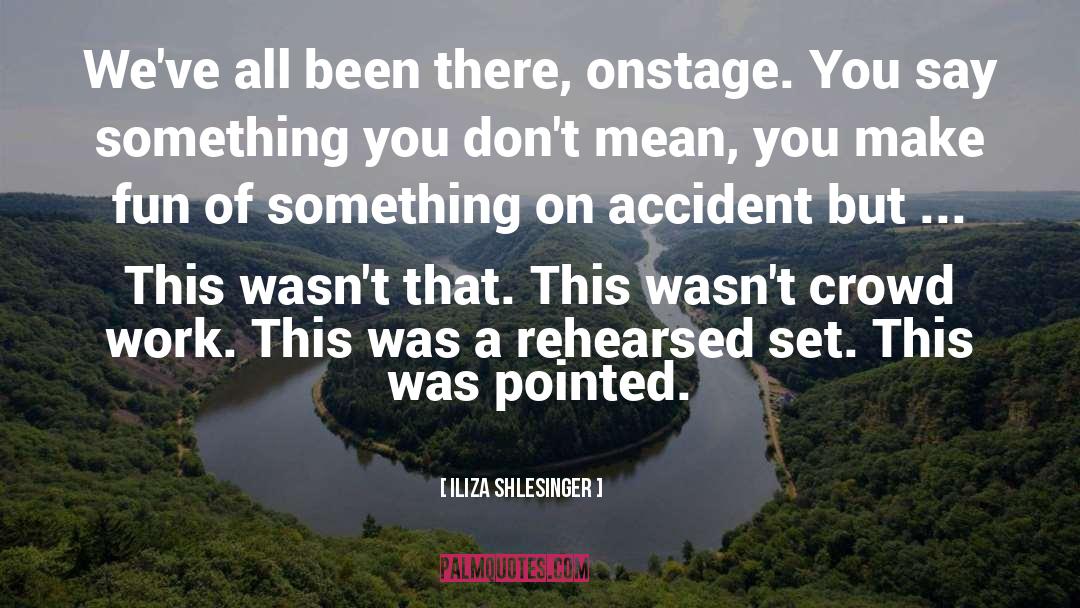 Fun Music quotes by Iliza Shlesinger