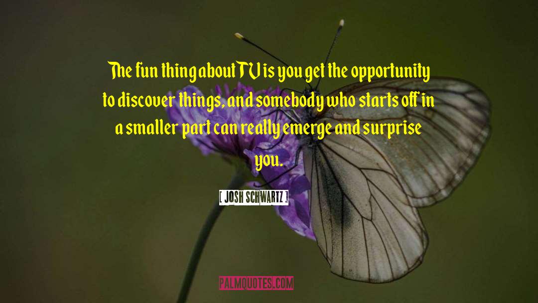 Fun Things quotes by Josh Schwartz