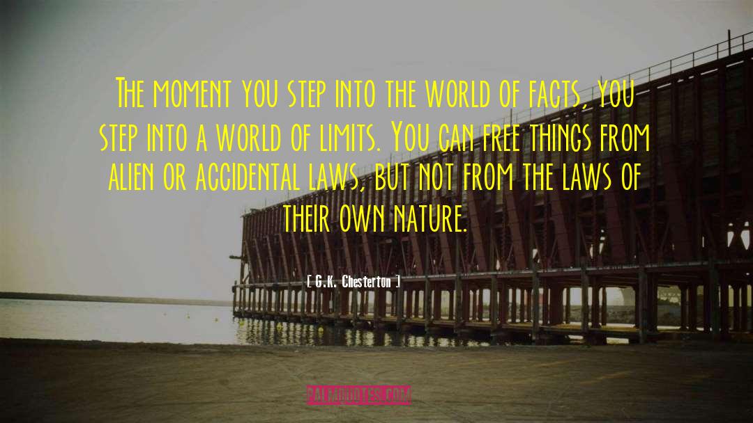 Fun Things quotes by G.K. Chesterton