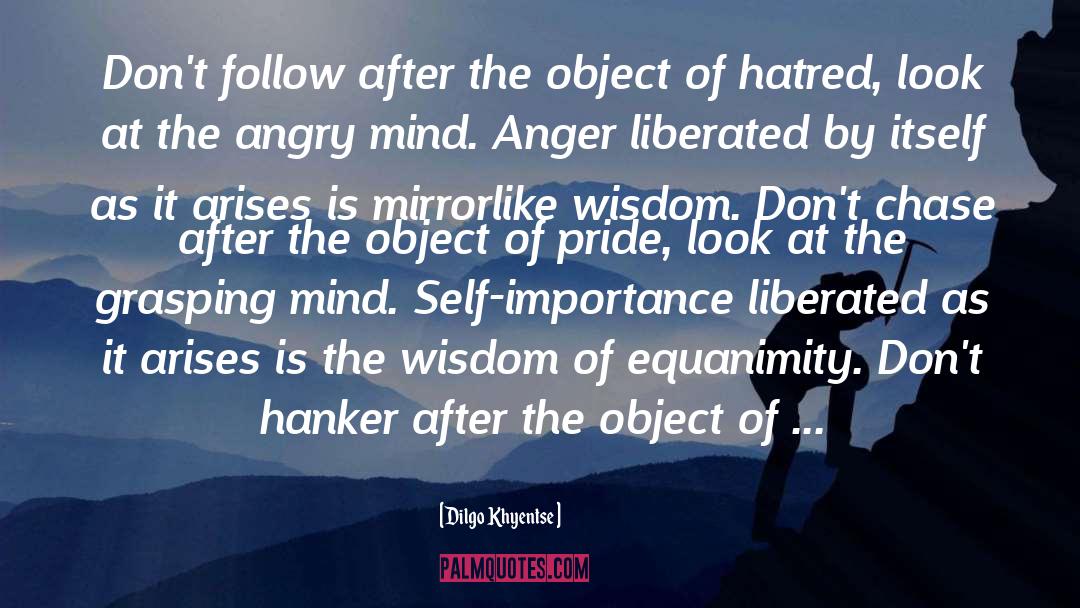 Function Of Anger Pride quotes by Dilgo Khyentse