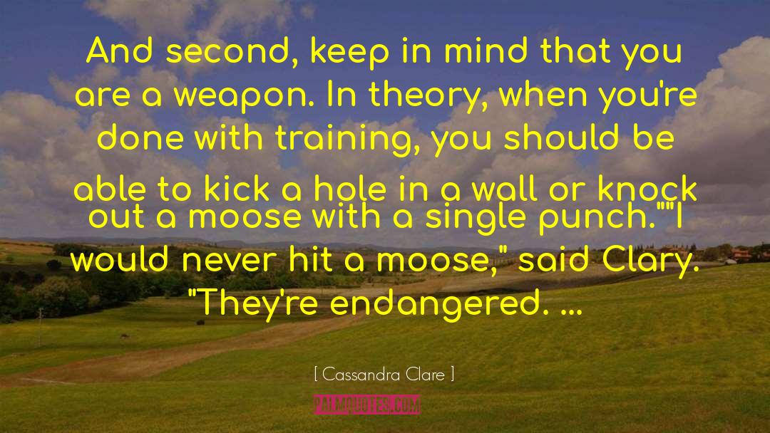Functional Training quotes by Cassandra Clare
