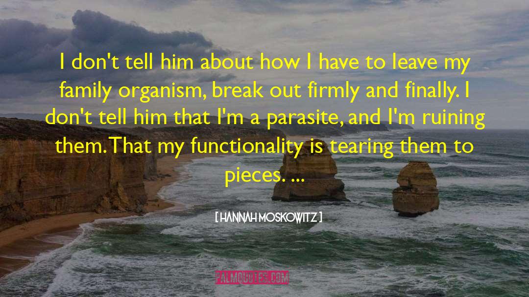 Functionality quotes by Hannah Moskowitz