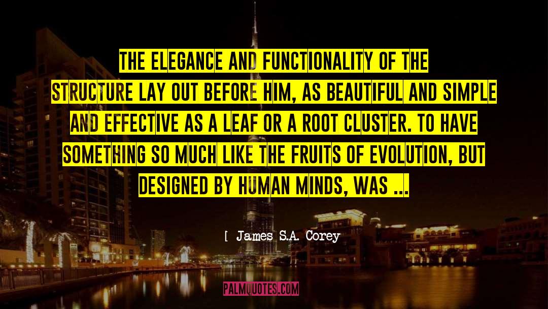 Functionality quotes by James S.A. Corey