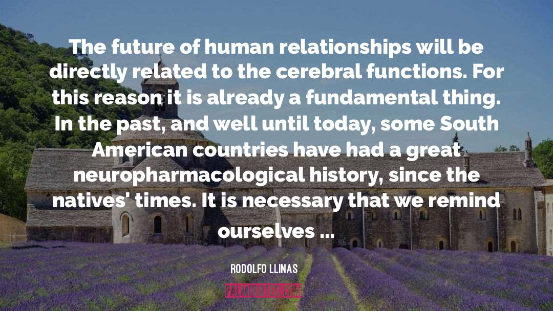 Functions Of The Human Brain quotes by Rodolfo Llinas