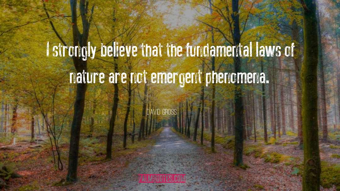 Fundamental Laws Of Nature quotes by David Gross