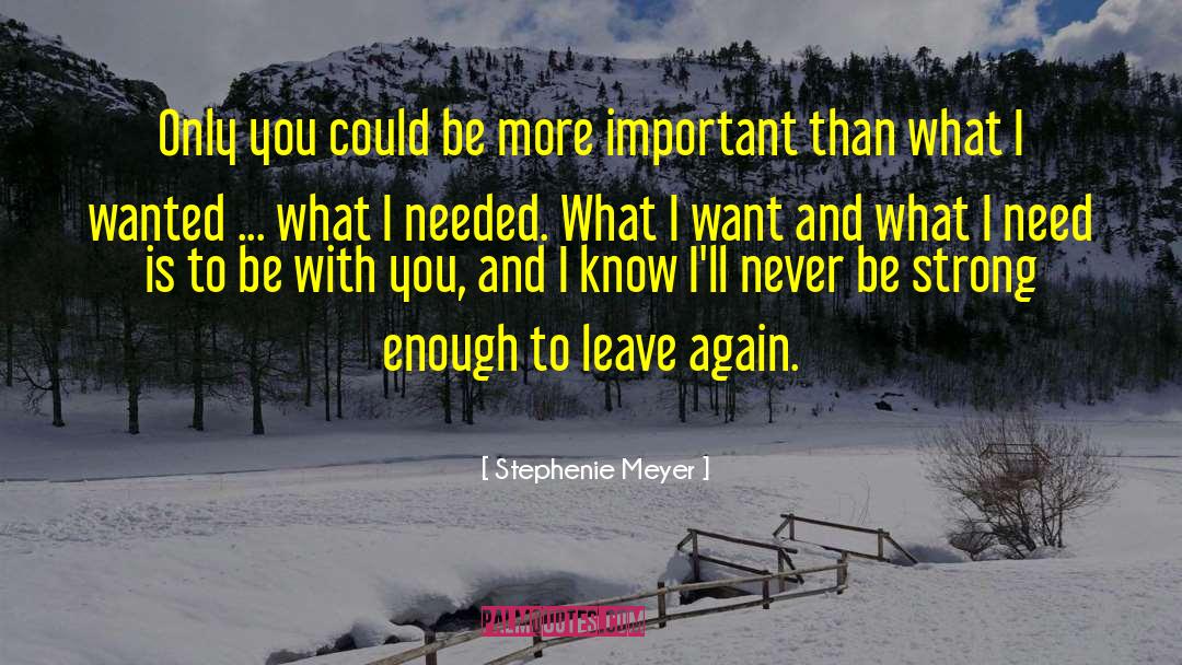 Fundamental Needs quotes by Stephenie Meyer