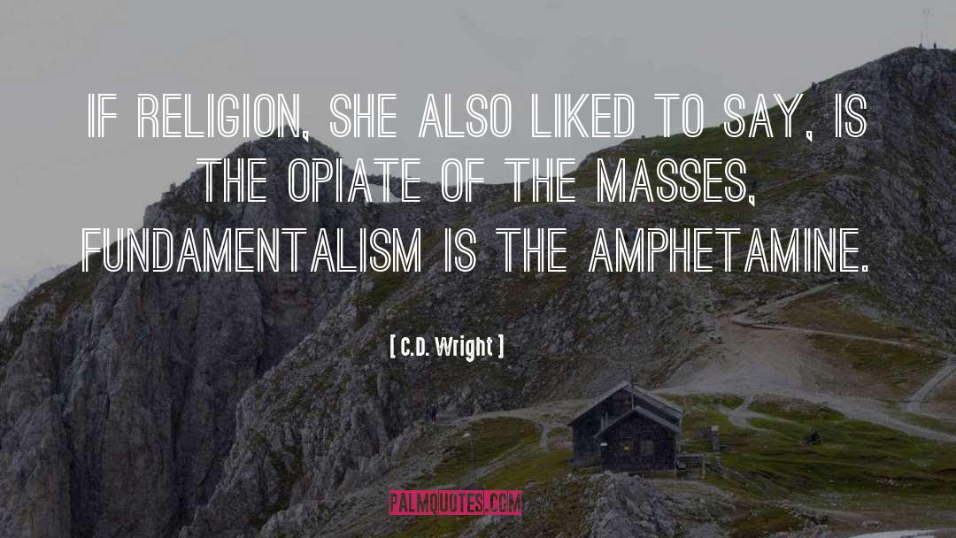 Fundamentalism quotes by C.D. Wright