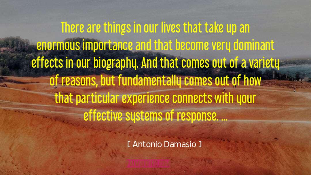 Fundamentally quotes by Antonio Damasio