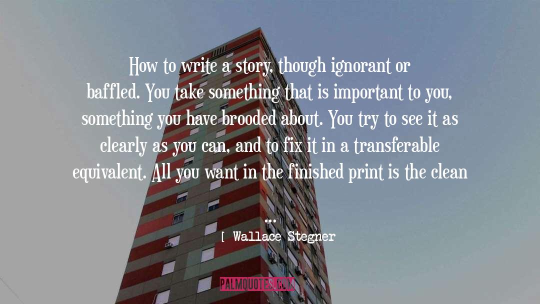 Fundamentals Of Writing quotes by Wallace Stegner
