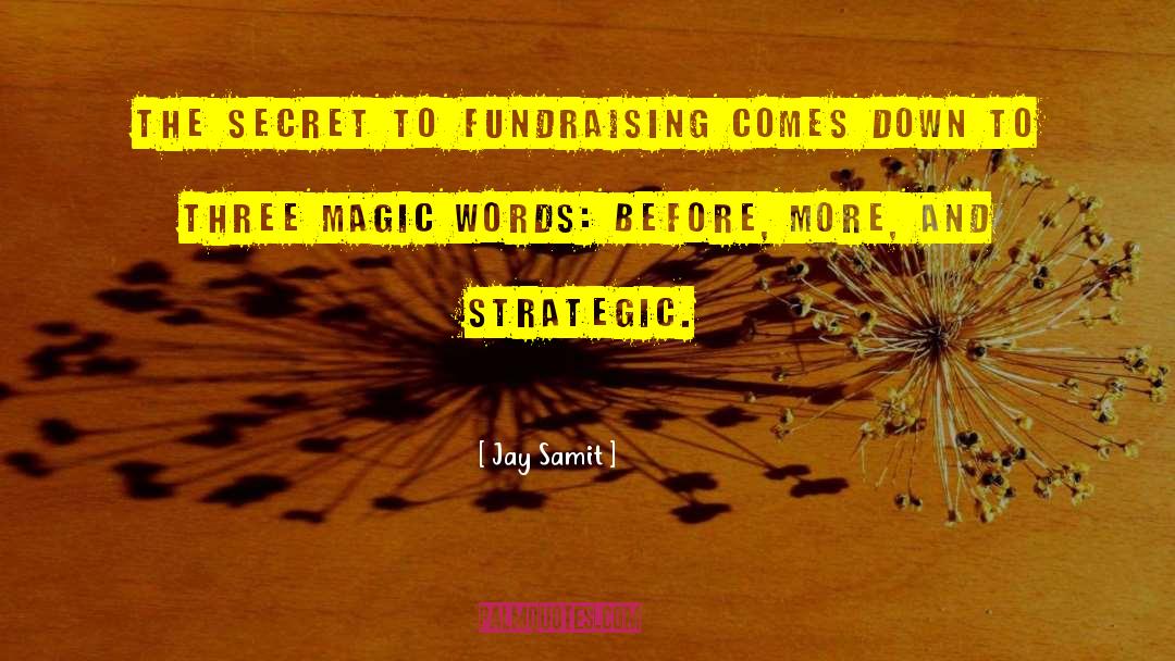 Fundraising quotes by Jay Samit