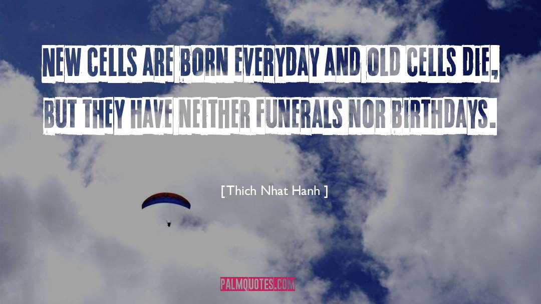 Funerals quotes by Thich Nhat Hanh