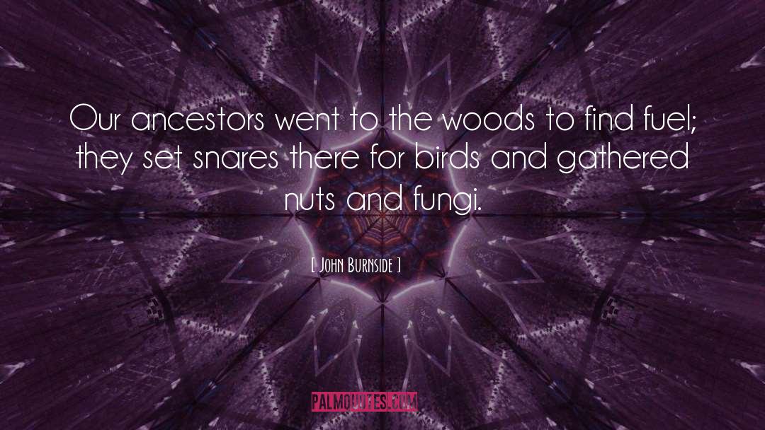 Fungi quotes by John Burnside