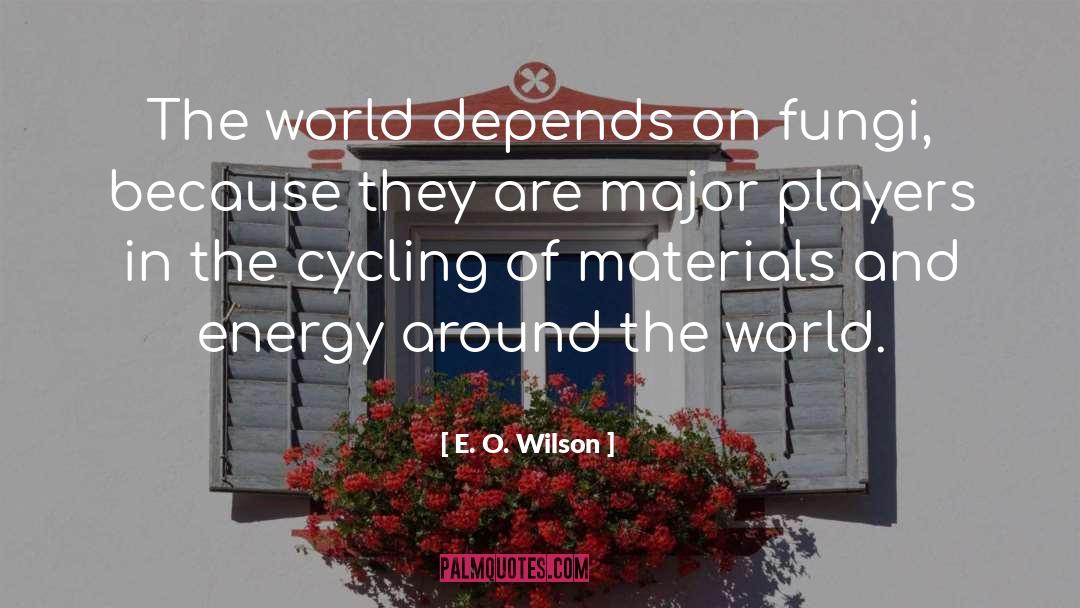 Fungi quotes by E. O. Wilson