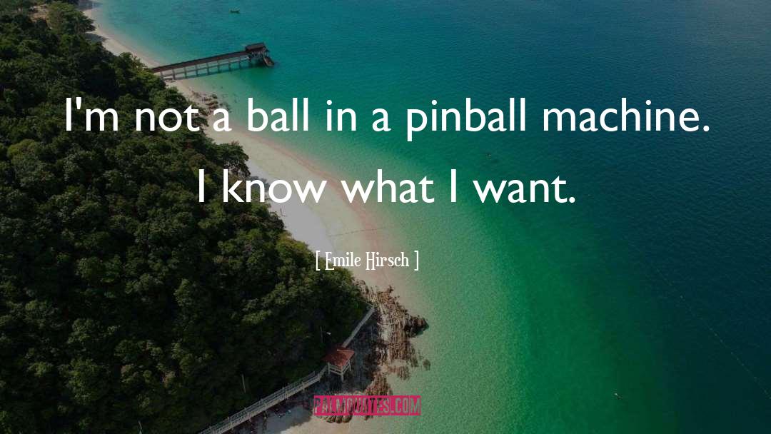 Funhouse Pinball quotes by Emile Hirsch