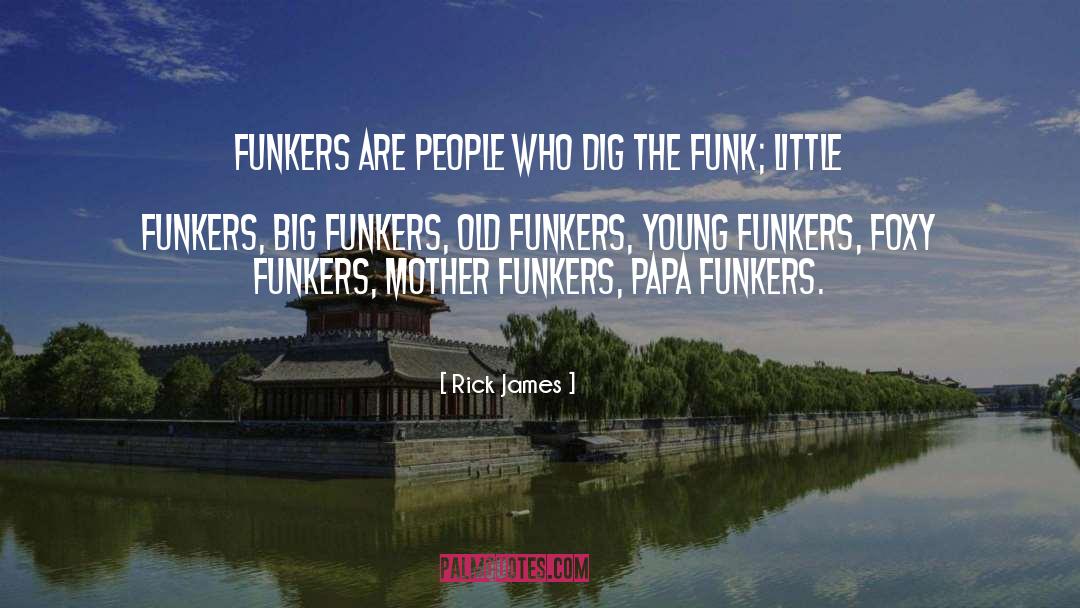 Funk quotes by Rick James