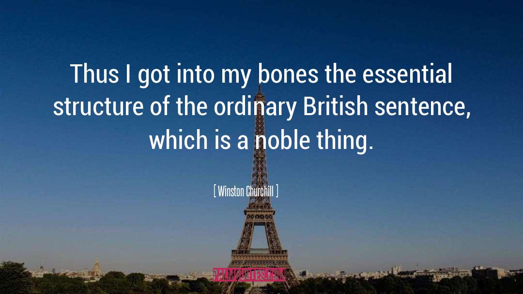 Funky Bones quotes by Winston Churchill