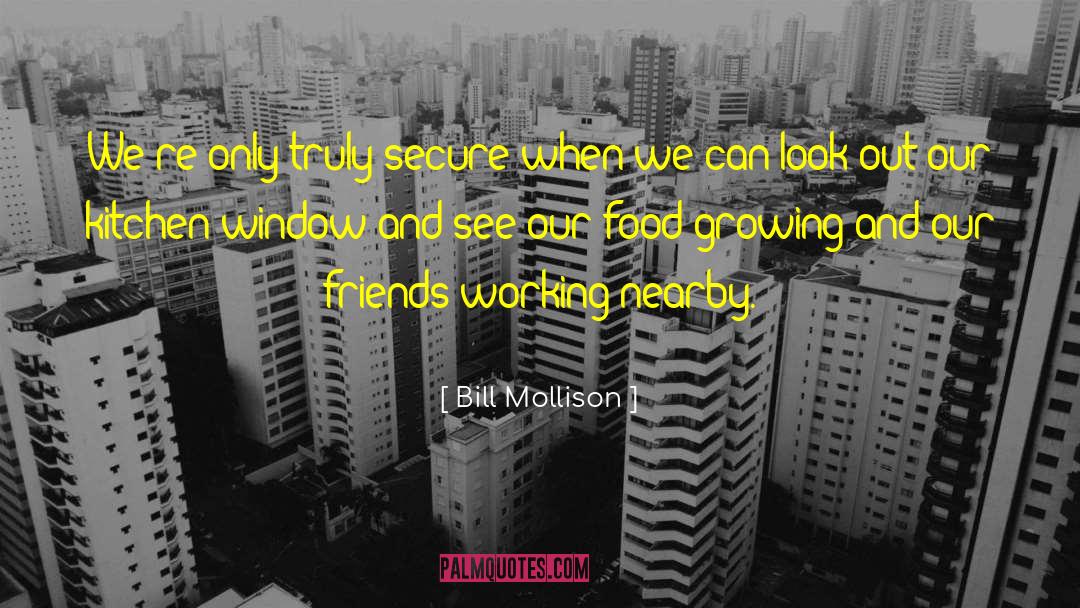 Funniest Friends quotes by Bill Mollison