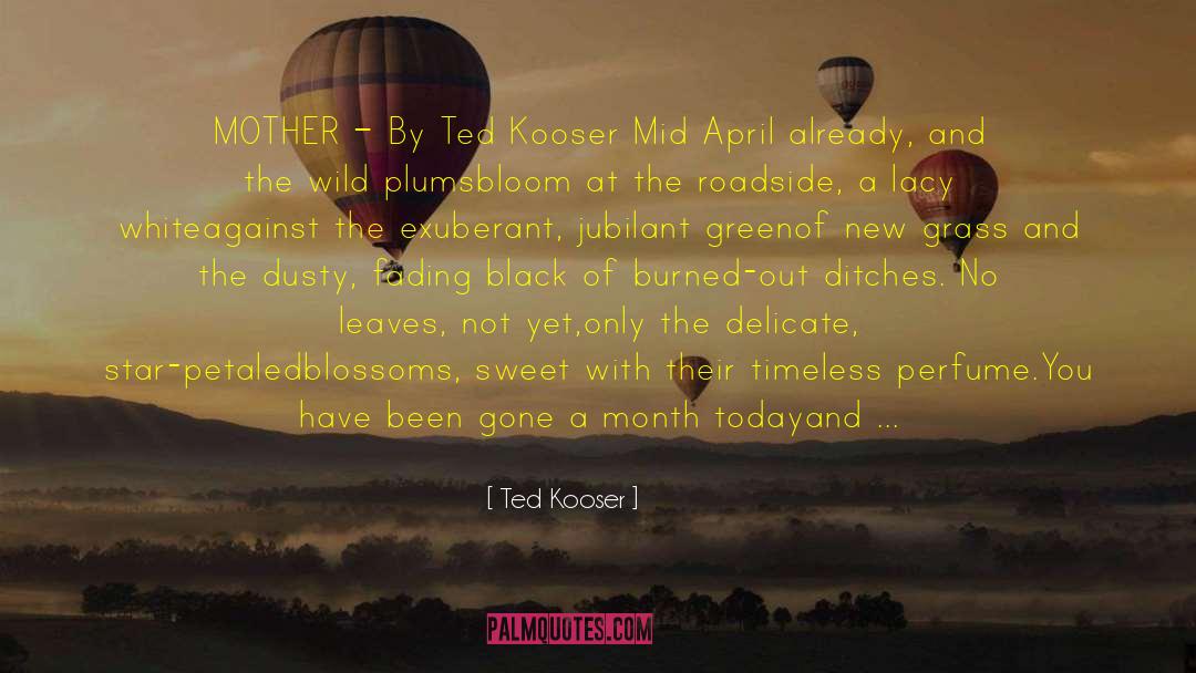 Funny 40 Year Old Birthday quotes by Ted Kooser