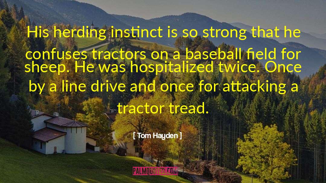 Funny Baseball quotes by Tom Hayden