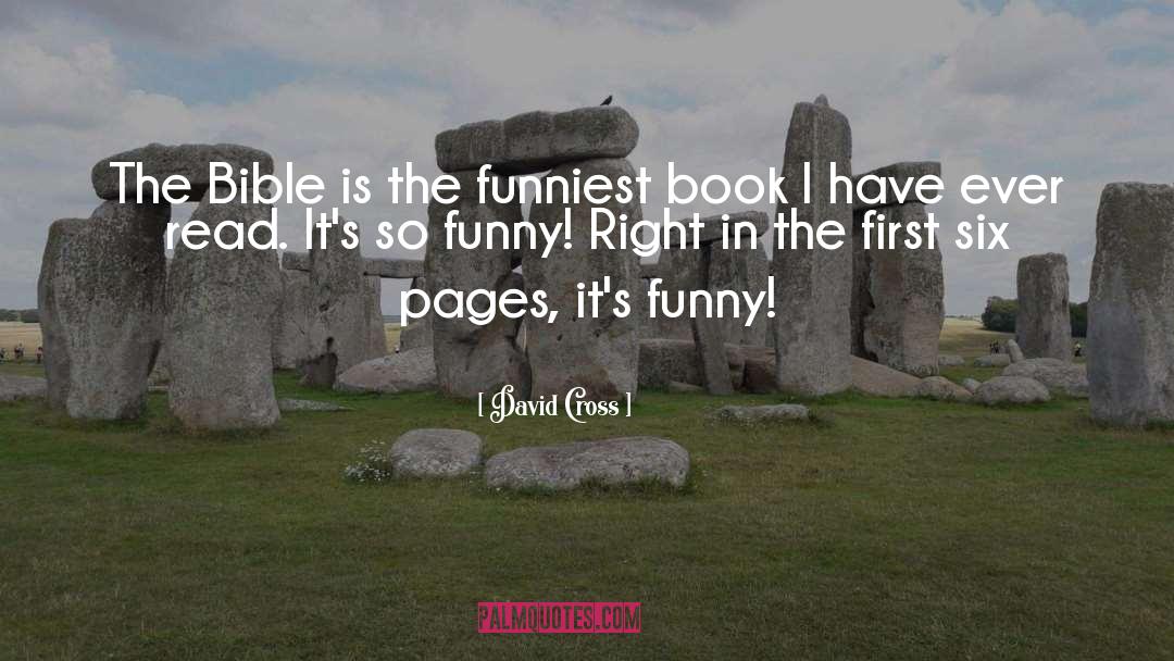Funny Book quotes by David Cross