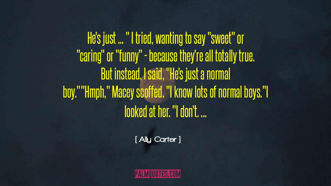 Funny But Sad quotes by Ally Carter