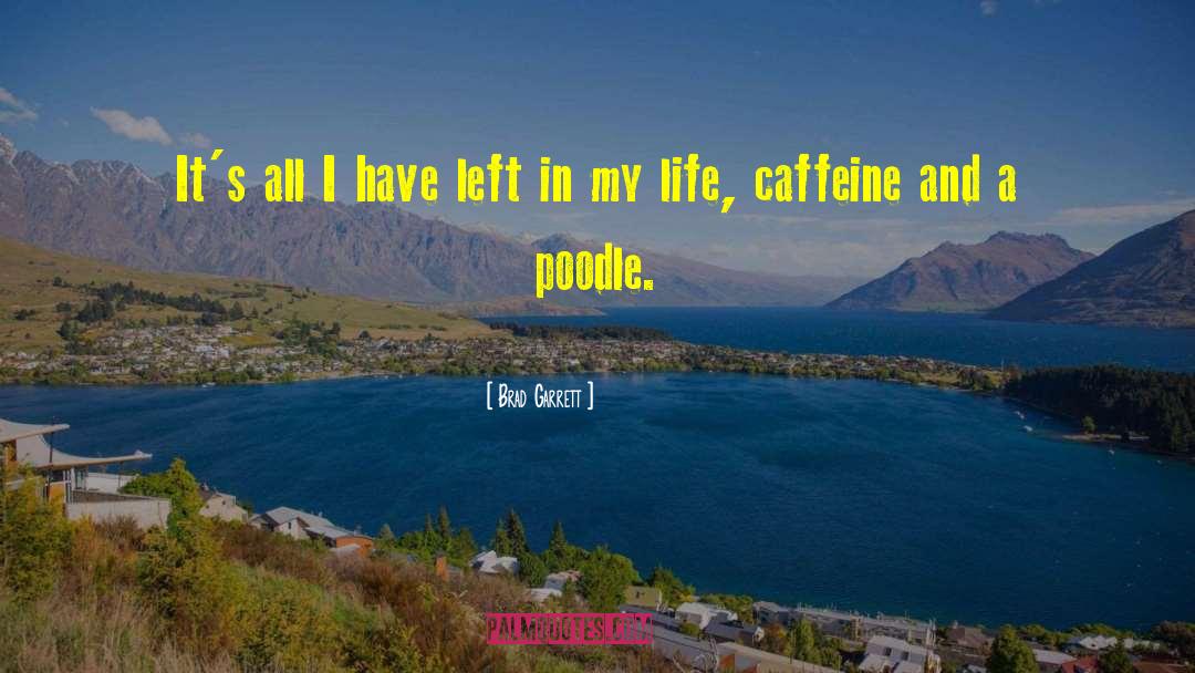 Funny Caffeine quotes by Brad Garrett