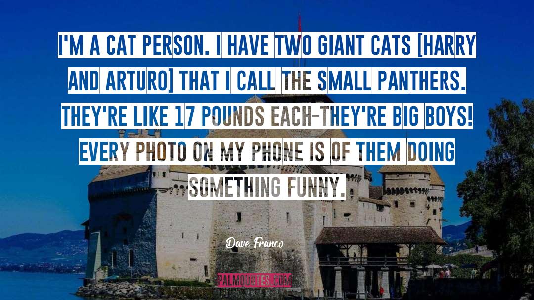 Funny Cat quotes by Dave Franco