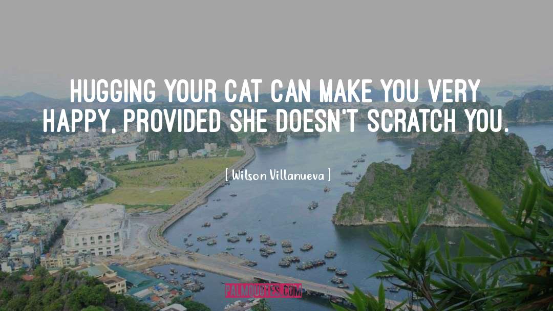 Funny Cat quotes by Wilson Villanueva