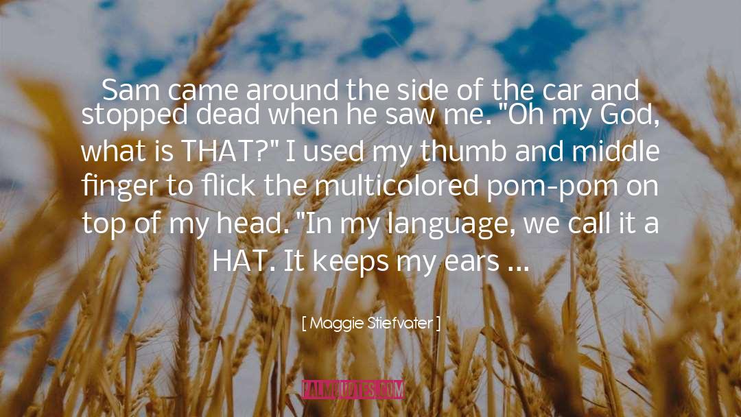 Funny Comebacks quotes by Maggie Stiefvater