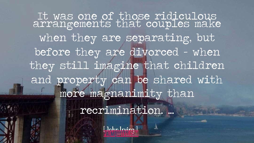 Funny Divorce quotes by John Irving