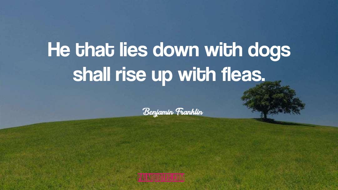 Funny Dog quotes by Benjamin Franklin