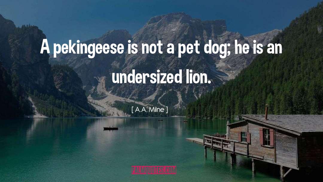 Funny Dog quotes by A.A. Milne