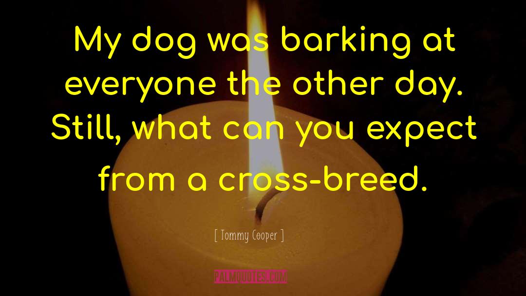 Funny Dog quotes by Tommy Cooper