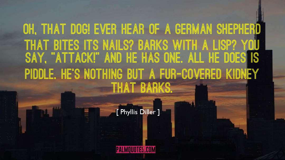 Funny Dog quotes by Phyllis Diller