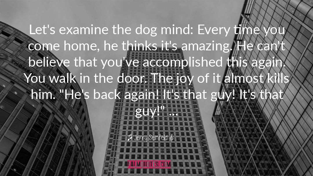 Funny Dog quotes by Jerry Seinfeld