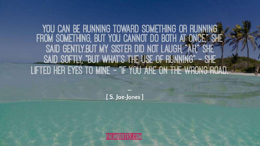 Funny Fantasy quotes by S. Jae-Jones