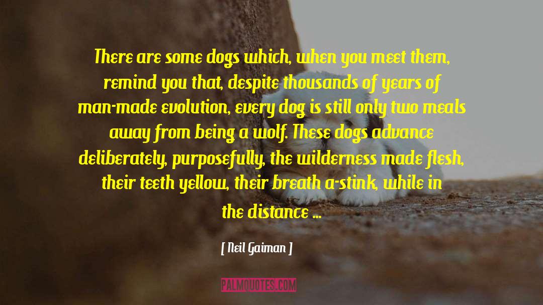 Funny Fantasy Wolf Humor Dog quotes by Neil Gaiman