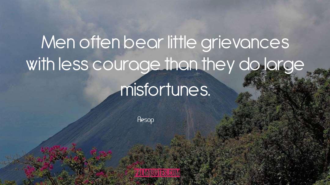 Funny Grievance quotes by Aesop