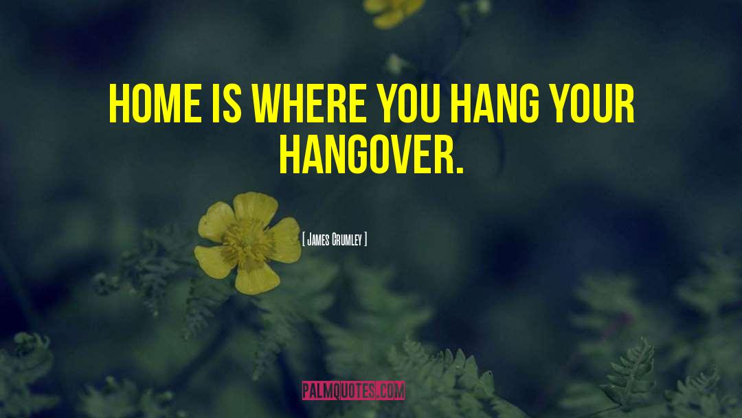Funny Hangover Film quotes by James Crumley