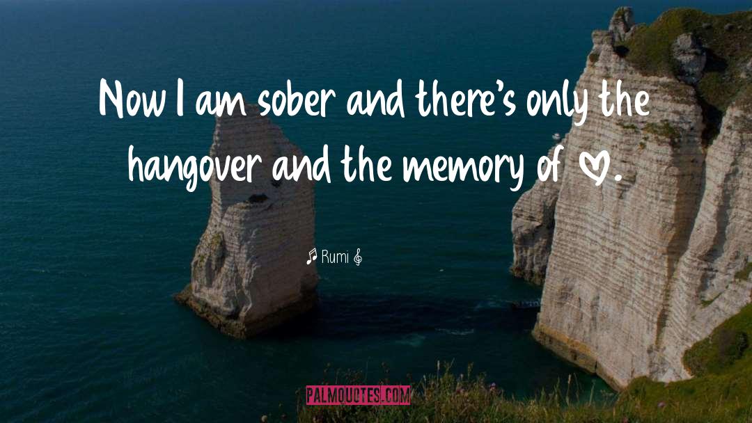 Funny Hangover Film quotes by Rumi