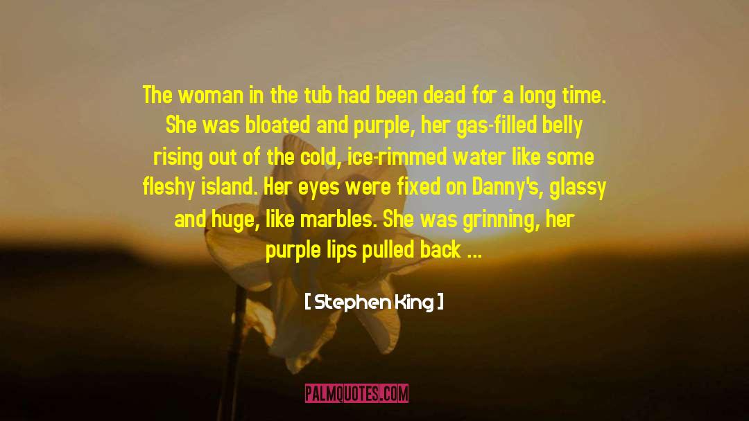 Funny Hot Tub Time Machine 2 quotes by Stephen King