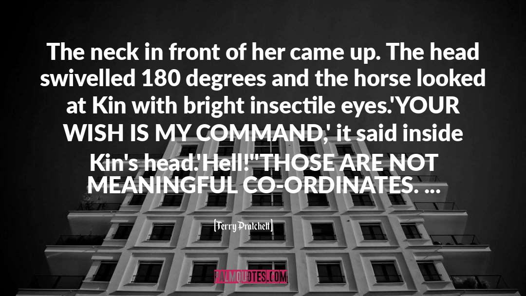 Funny Insignia quotes by Terry Pratchett