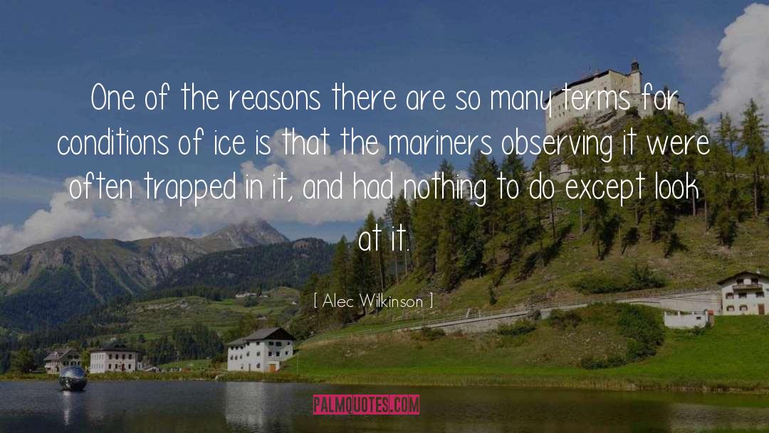 Funny Inspirational Sports quotes by Alec Wilkinson