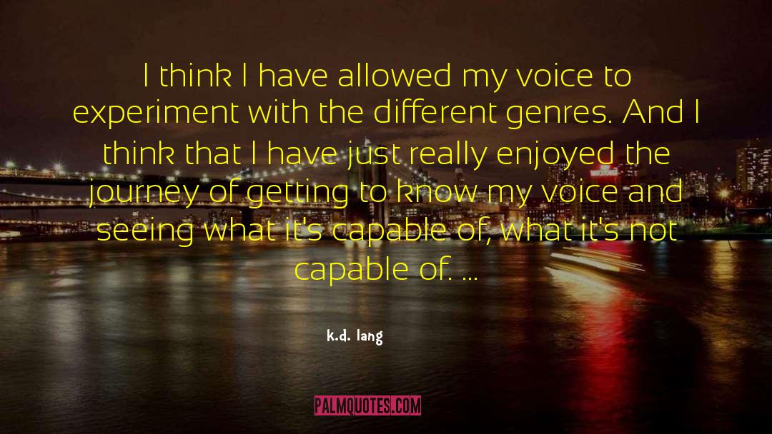 Funny Journey quotes by K.d. Lang