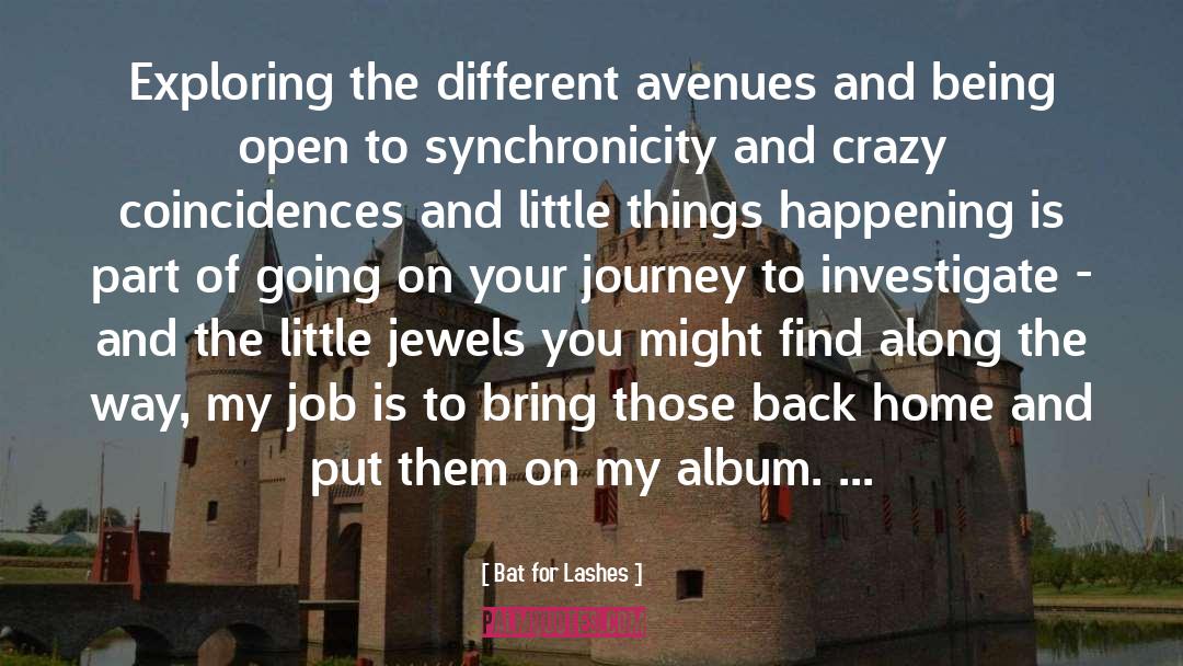 Funny Journey quotes by Bat For Lashes