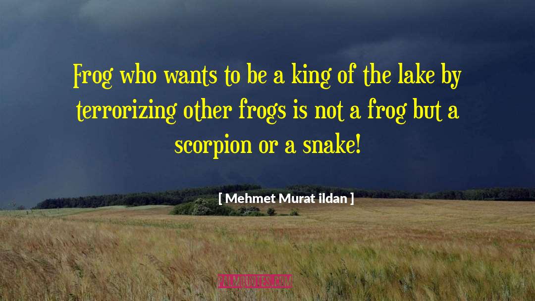 Funny Kermit The Frog quotes by Mehmet Murat Ildan