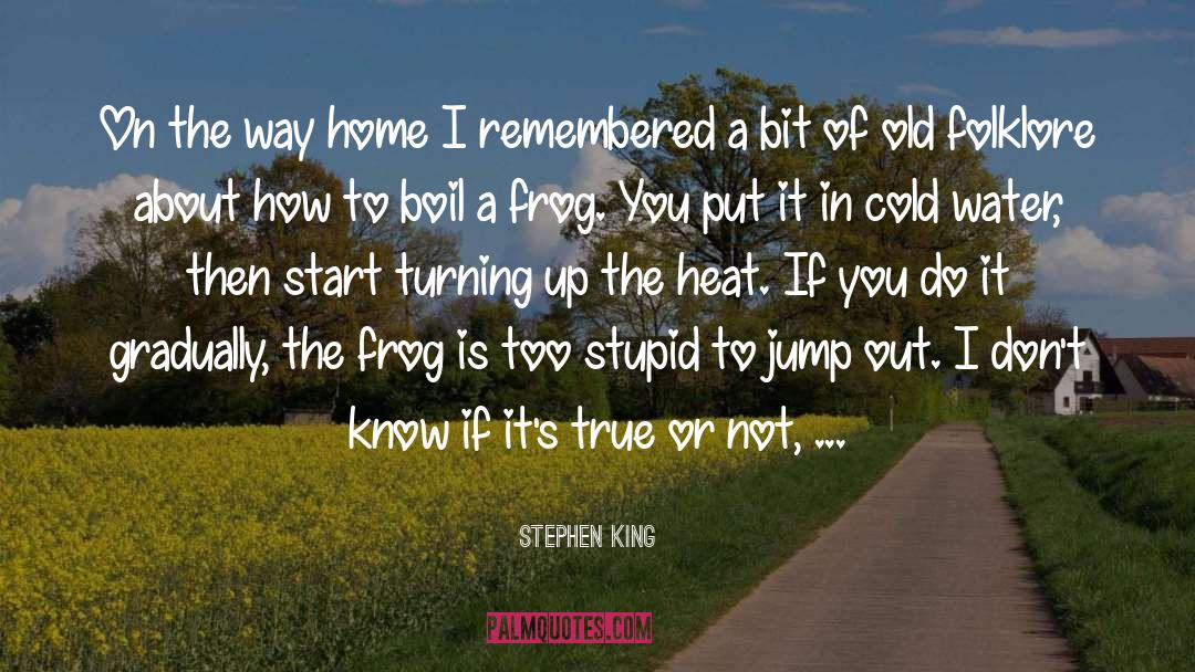 Funny Kermit The Frog quotes by Stephen King