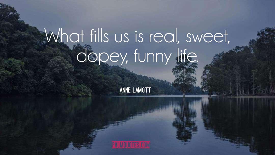 Funny Life quotes by Anne Lamott