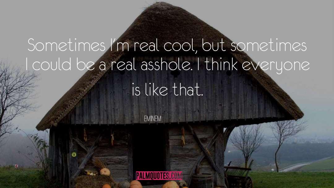 Funny Lifestyle quotes by Eminem