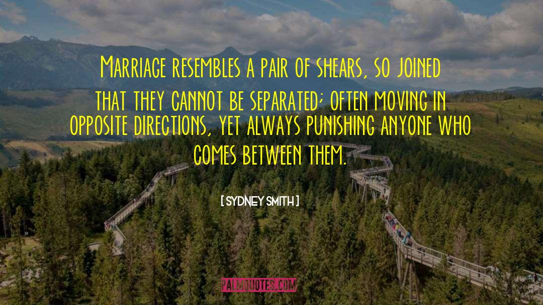 Funny Marriage quotes by Sydney Smith